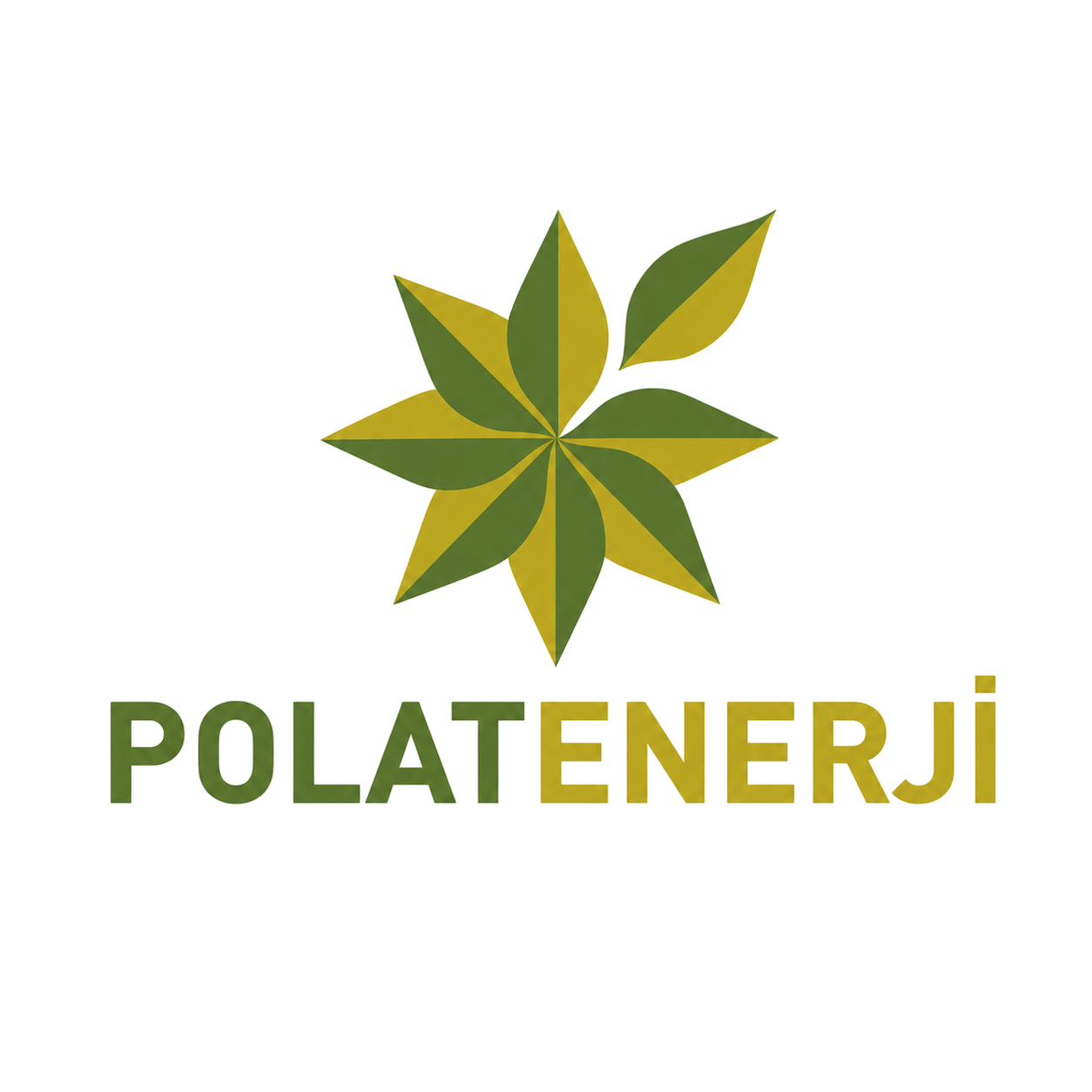 Trusted Partner